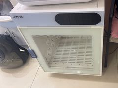 -车接车送·寄养洗护·德文猫舍(大宁店)