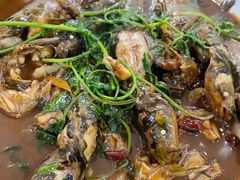 -杨辉饭店