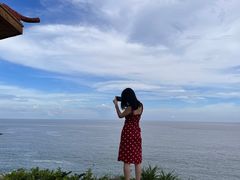-广东惠东海龟国家级自然保护区