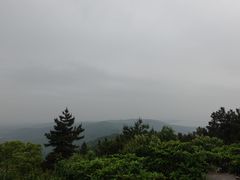 -雨花胜境