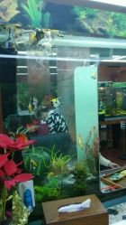 android_upload_pic-小左美发