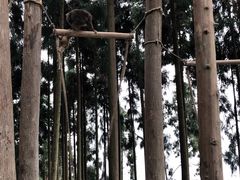 -太阳湾风景区