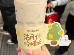 -猫的魔法密林(衣裳街店)