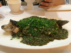 烧椒鲈鱼-尘香•传统川菜(创汇首座店)