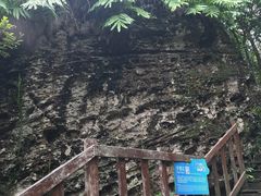 -七仙岭温泉国家森林公园