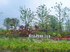 -上海滨江森林公园