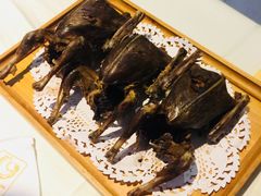 -食家鸽园