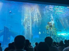 -哈尔滨波塞冬海底世界