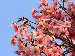 -Chanel(德基广场店)