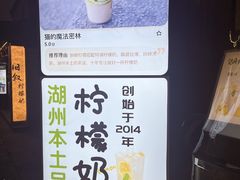 -猫的魔法密林(衣裳街店)