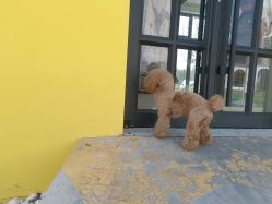-优沃得自然教育农场·冰雪乐园·生日会·研学