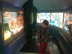 -上海昆虫博物馆