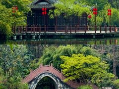 -棠湖公园