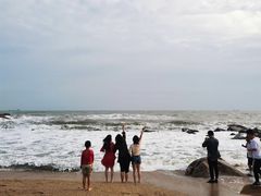 -广东惠东海龟国家级自然保护区