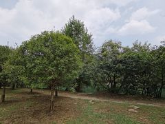-贵阳市花溪国家城市湿地公园