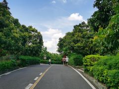 -大屏嶂森林公园