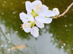 -三里河公园