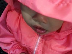 -华丰贺氏(福新西路店)