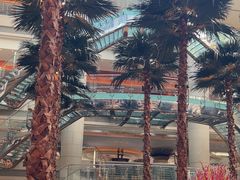 -威斯汀舞台餐厅