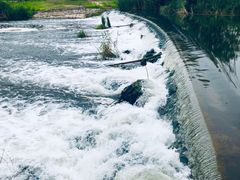 -永定河休闲森林公园