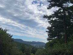 -北京西山国家森林公园