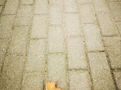 -八大关景区