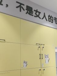 -洗脸猫·洗脸吧