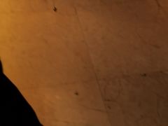 -丁家坡洋芋·观音桥好吃街A区(全国总店)