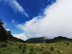 -白草畔自然风景区
