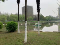 -沙市市中山公园