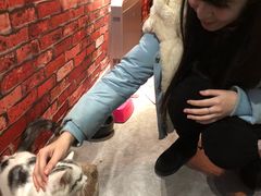 -AOE 火焰 剧本密室狼人杀
