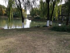 -贡湖湾湿地公园