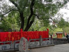 -大槐树寻根祭祖园