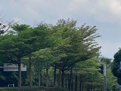 -深圳国际园林花卉博览园