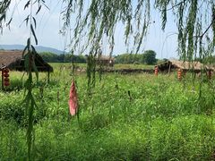 -长兴太湖图影湿地文化园