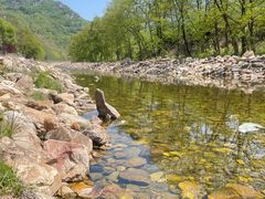 -大连天门山国家森林公园