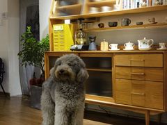 -沏点Trattoria意大利餐厅(新街口店)
