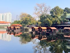 -侨美·唐荔园·40年地道粤菜