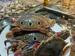 -领鲜活海鲜榴莲自助火锅(东门店)