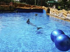 -横琴湾水世界