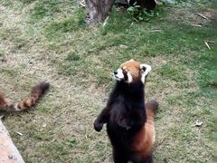 -泉州海丝野生动物世界