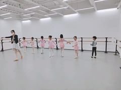 -中央芭蕾舞团·中芭艺蕾(酒仙桥明星校区)