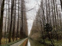 -上海怡沁园度假酒店