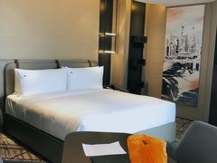 -新加坡瑞士史丹福酒店