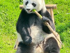 -盐城大丰港动物园