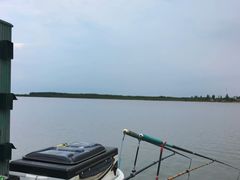 -呼兰河口湿地公园