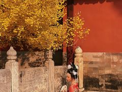-大觉寺-停车场