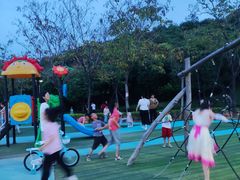 -飞凤山奥体公园