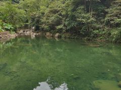 -白云源风景区