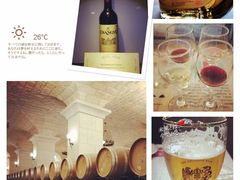 -北京张裕爱斐堡酒庄